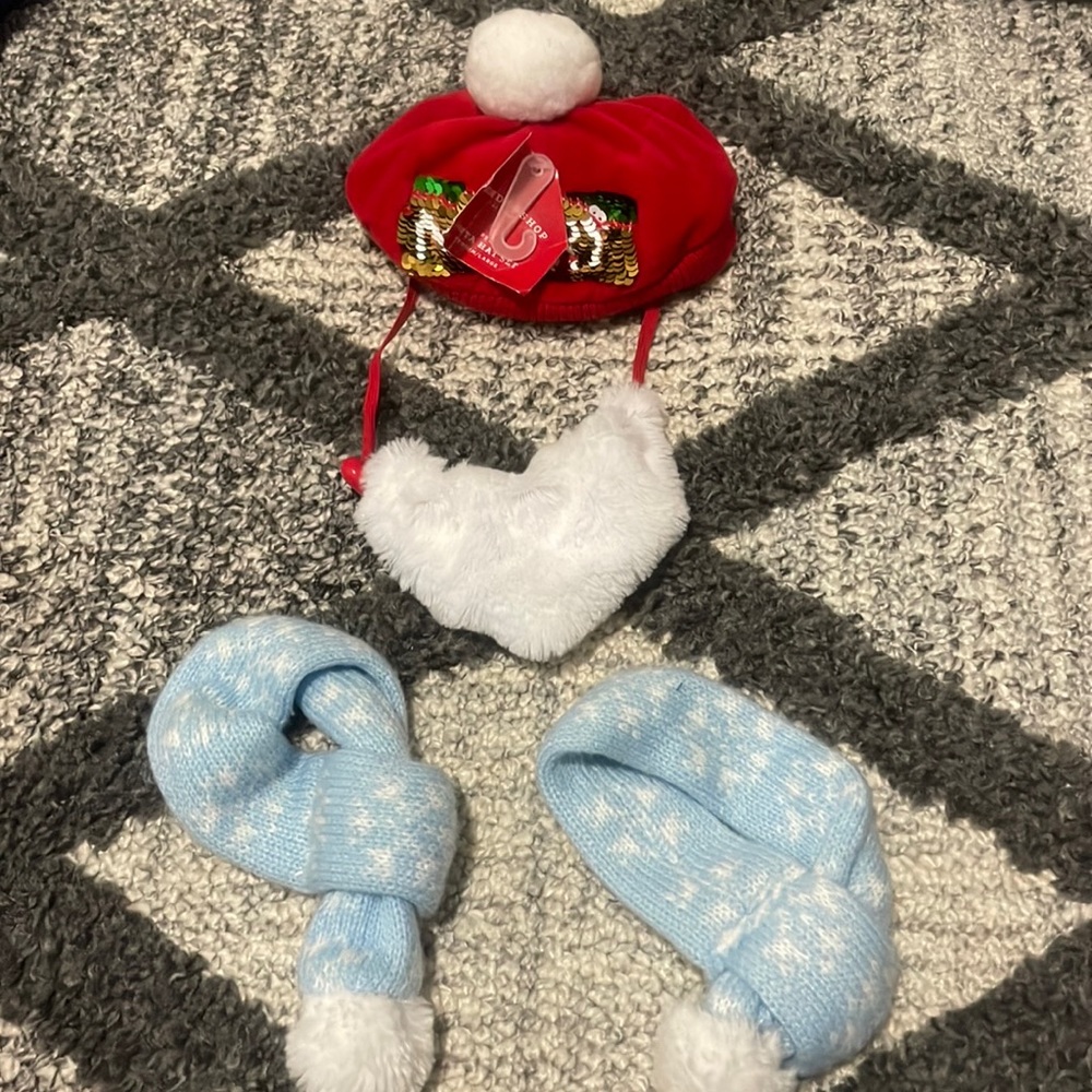 Dog christmas accessories